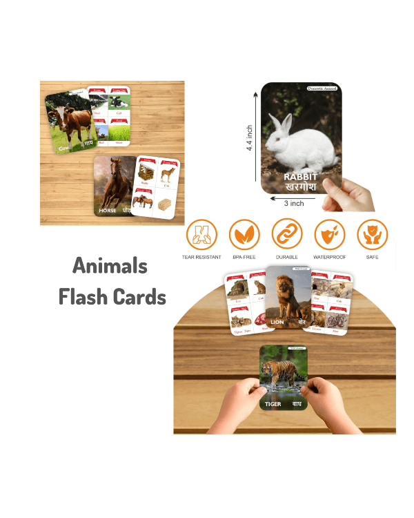 ANIMALS DOUBLE SIDED FLASH CARDS