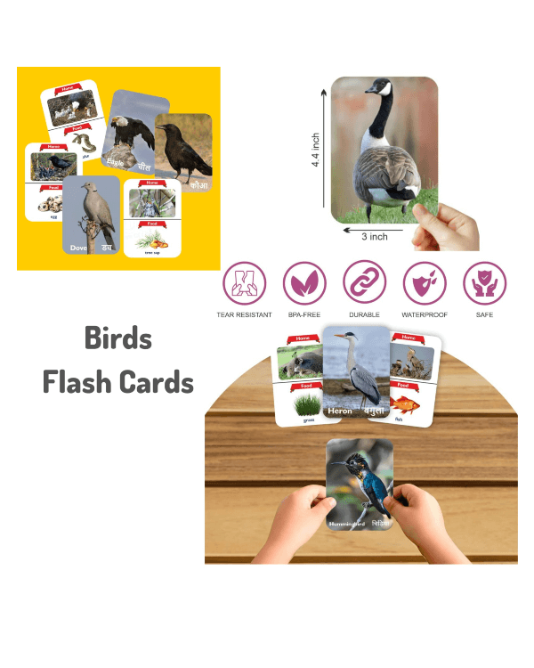 BIRDS DOUBLE SIDED FLASH CARDS
