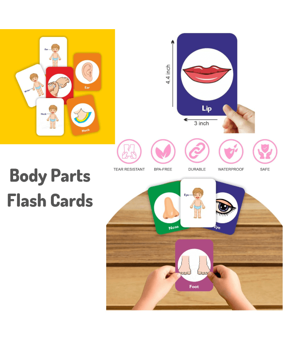 BODY PARTS DOUBLE SIDED FLASH CARDS