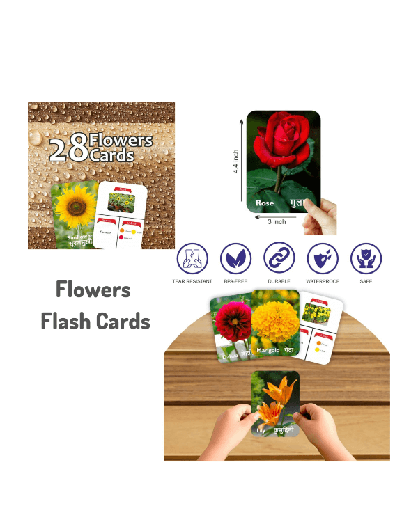 FLOWERS DOUBLE SIDED FLASH CARDS